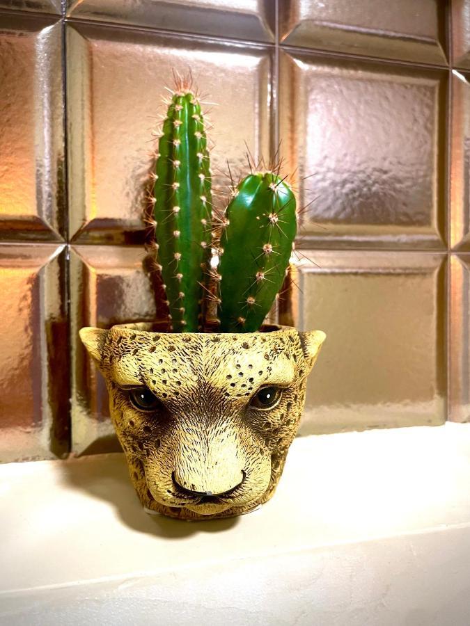 Coralcanteras Loft لاس بالماس دي غران كاناريا المظهر الخارجي الصورة